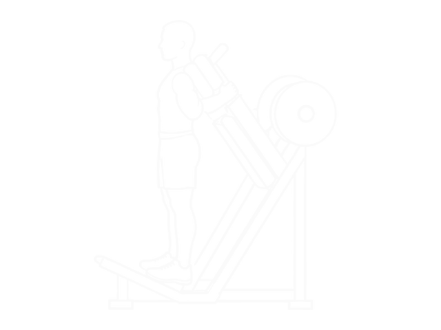Sled Hack Squat — Start