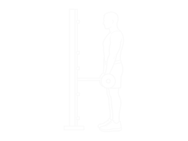 Smith Machine Biceps Curl — Start