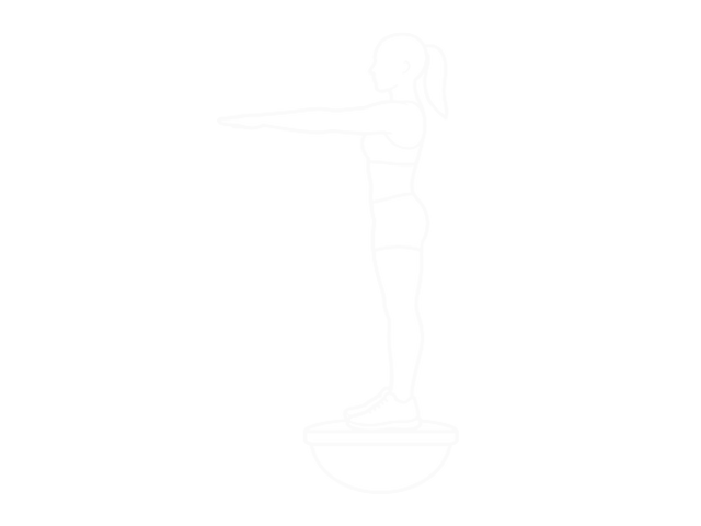 Squat on Bosu Ball — Start