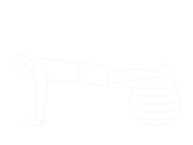 Stability Ball Pike — Start