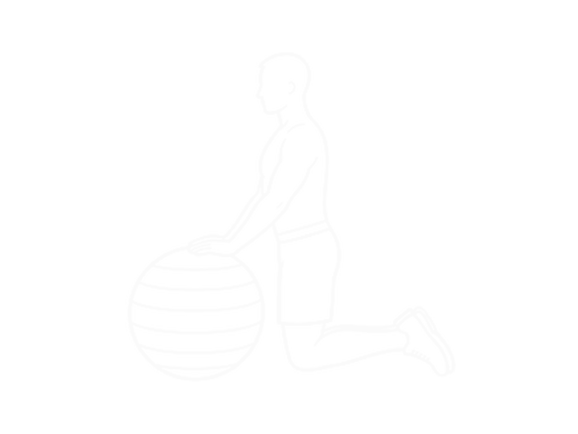Stability Ball Rollout — Start