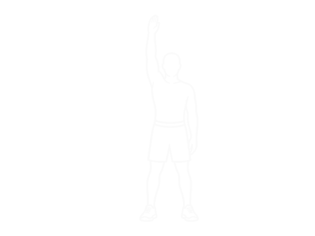 Standing Lateral Stretch — Start