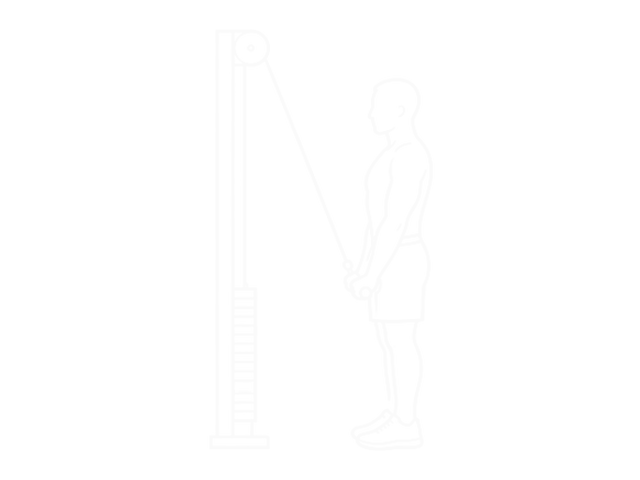 Straight-Arm Pulldown — End