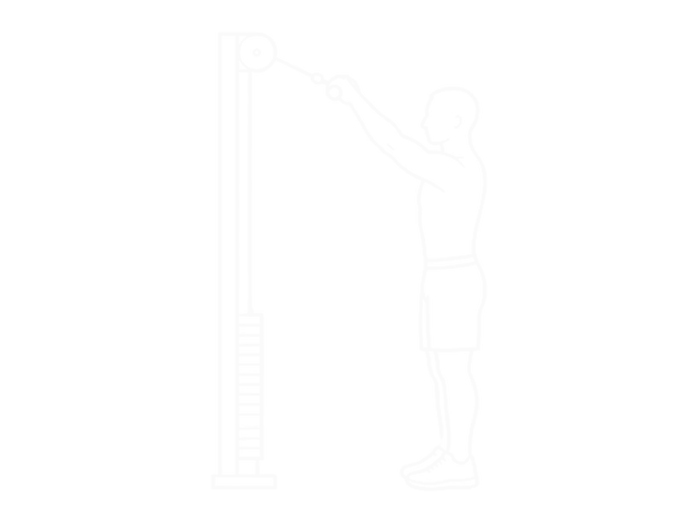 Straight-Arm Pulldown — Start