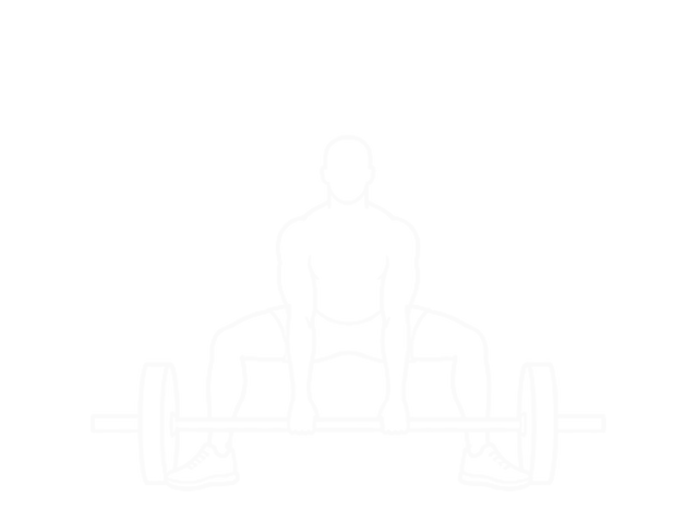 Sumo Deadlift — 시작