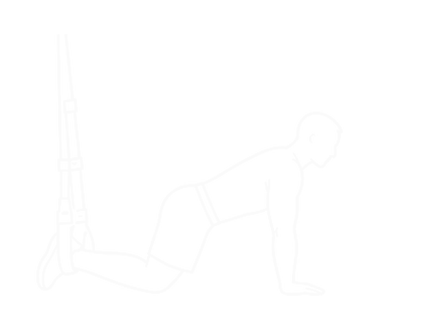 Suspended Abdominal Fallout — 시작