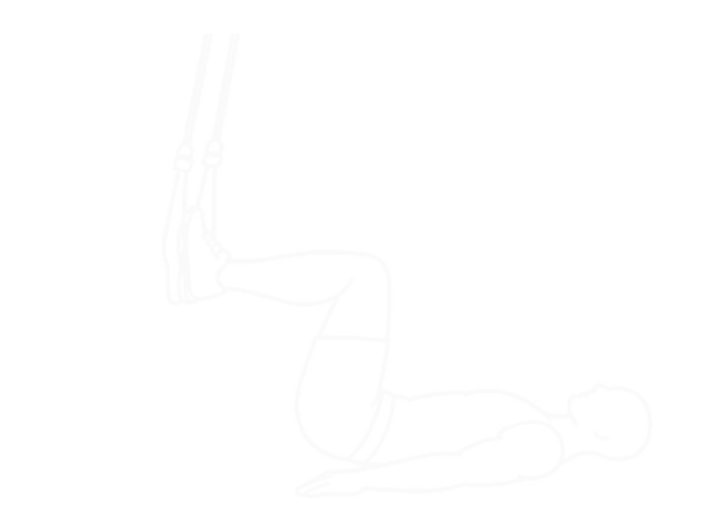 Suspended Reverse Crunch — End