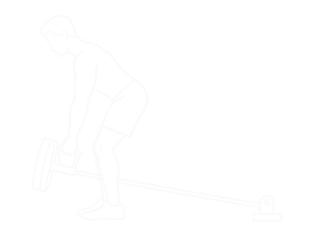 T-Bar Row — Start