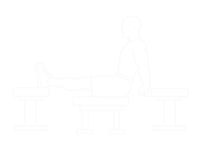Three Bench Dip — Start