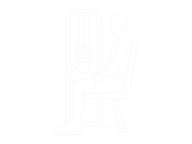 Triceps Extension Machine — End
