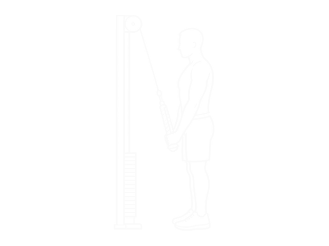 Triceps Pushdown — End