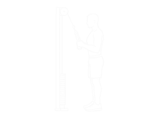 Triceps Pushdown — Start