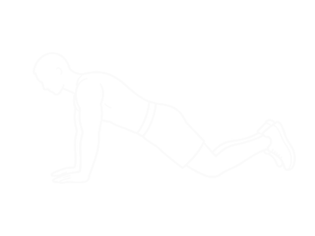 Triceps Press — Start