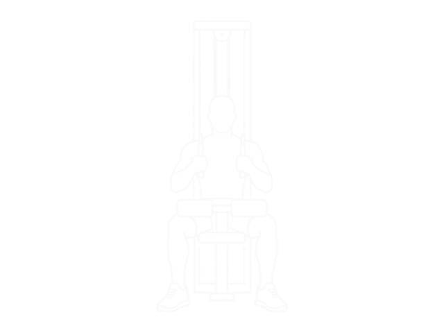Twin Handle Parallel Grip Lat Pulldown — End