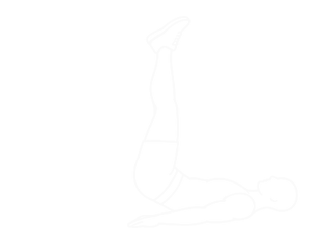 Twisted Leg Raise — 끝