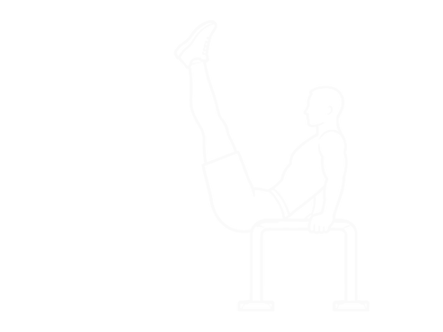 Vertical Leg Raise (On Parallel Bars) — 끝