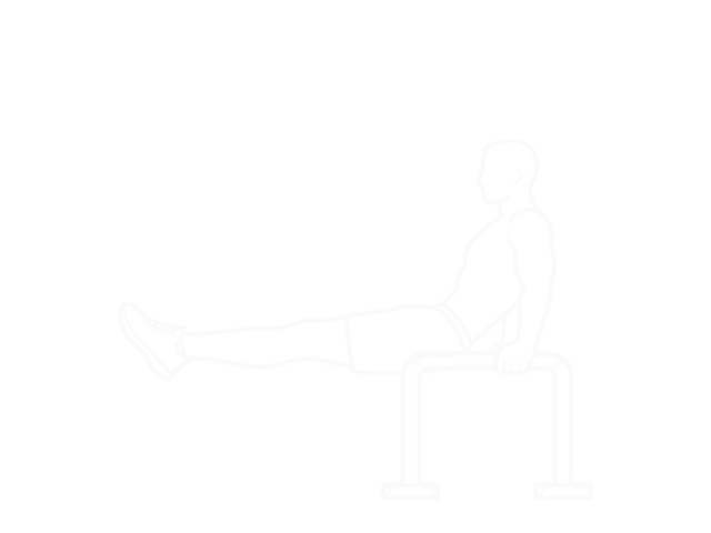 Vertical Leg Raise (On Parallel Bars) — 시작