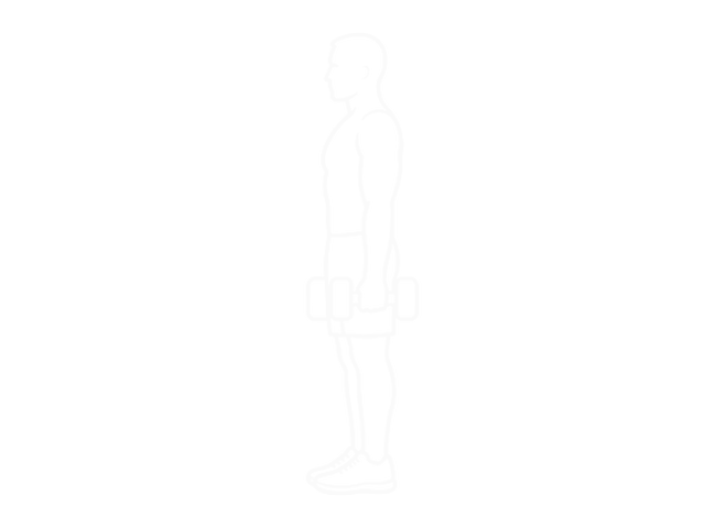 Walking Lunge — Start