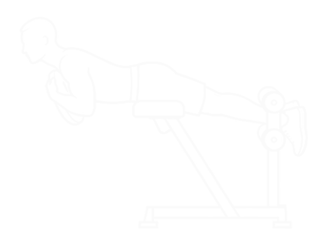 Weighted Back Extension — 끝
