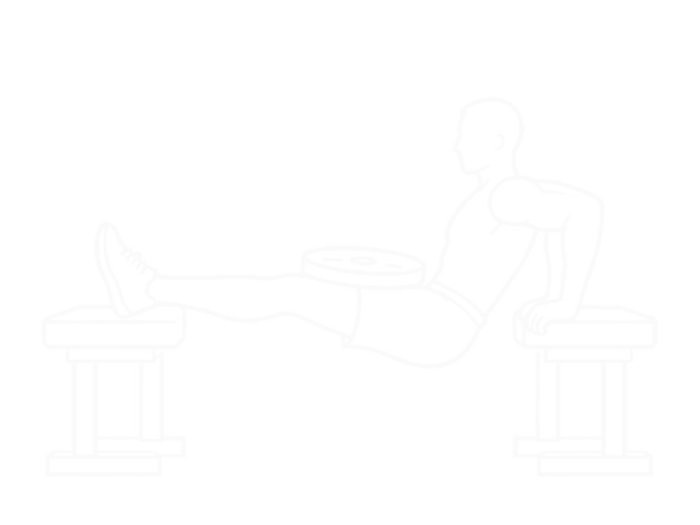 Weighted Bench Dip — End