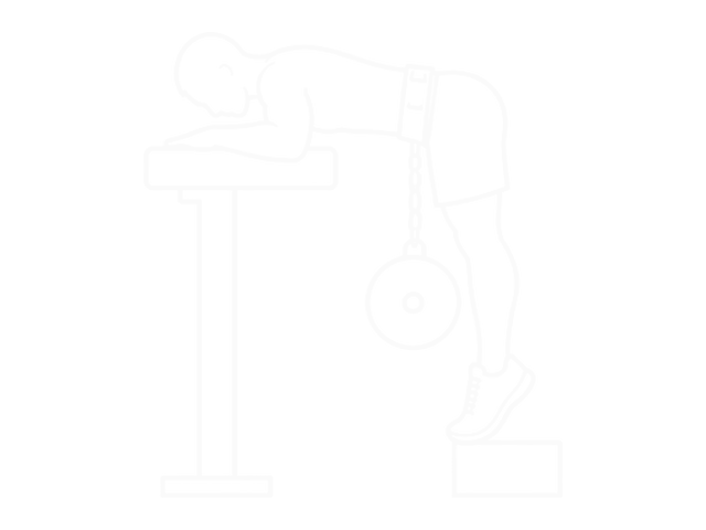 Weighted Donkey Calf Raise — End