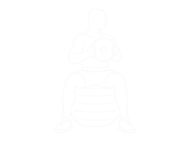 Weighted Seated Twist (On Stability Ball) — End
