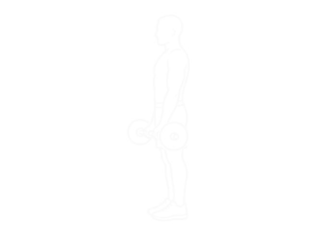 Weighted Standing Curl — Start