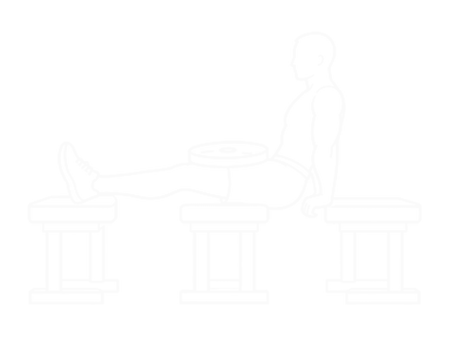 Weighted Three Bench Dips — 시작