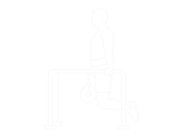 Weighted Triceps Dips — Start
