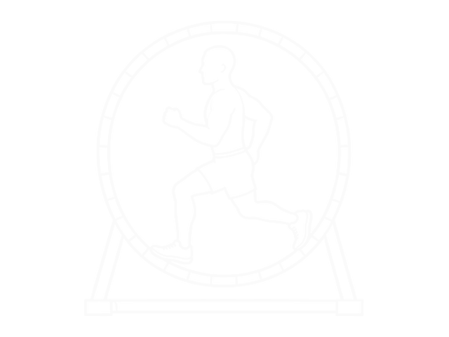 Wheel Run — Start