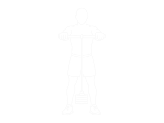 Wrist Rollerer — 시작