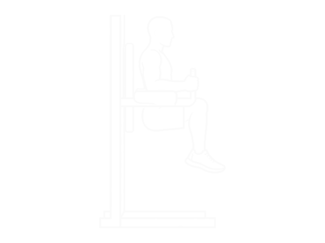 Assisted Hanging Knee Raise with Throw Down — Start