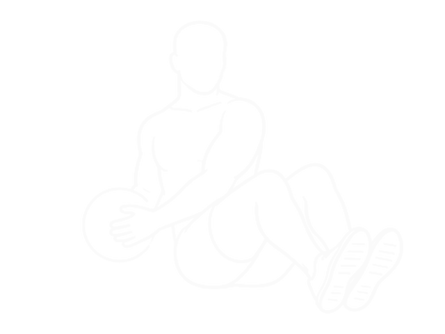 Assisted Motion Russian Twist — 시작