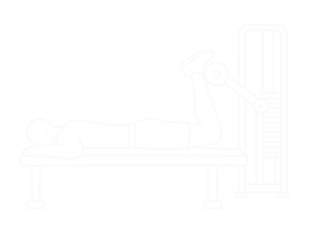 Assisted Prone Lying Quads Stretch — 끝