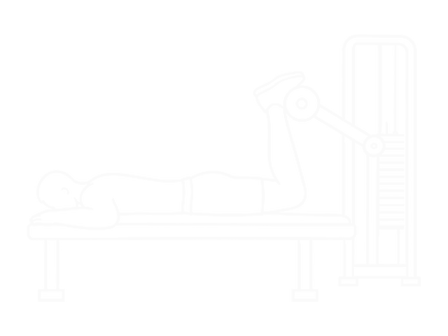 Assisted Prone Lying Quads Stretch — 시작