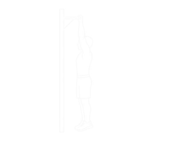 Back Lever — 시작