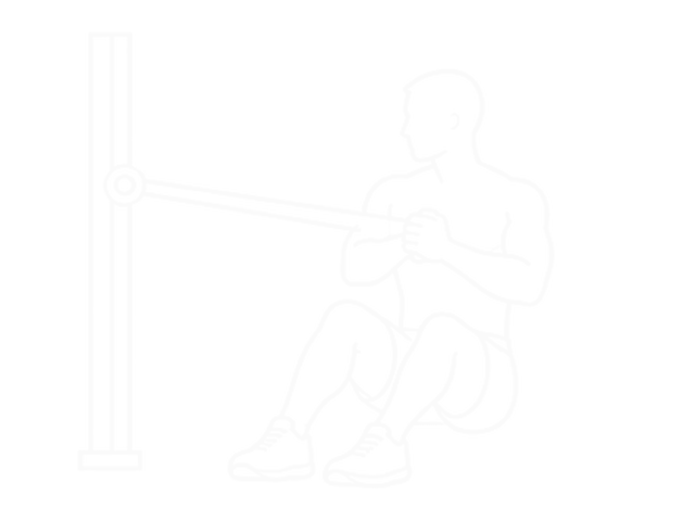 Seated Band Twist — 시작