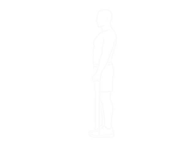 Band Stiff Leg Deadlift — End