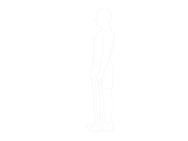 Band Straight Back Stiff Leg Deadlift — Start