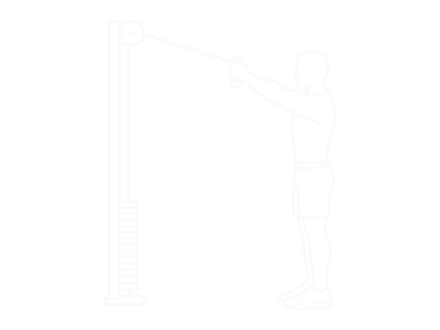Band Vertical Pallof Press — End