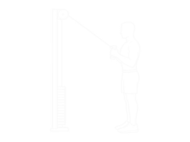 Band Vertical Pallof Press — Start