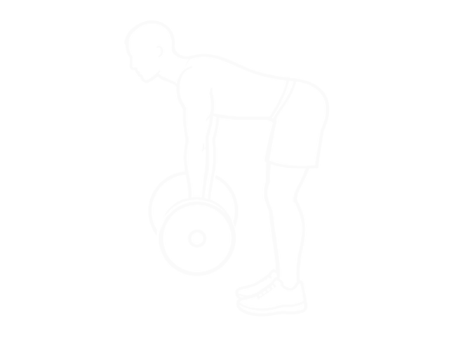 Barbell Bent Over Row — Start