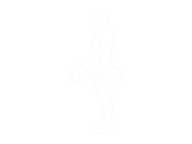 Barbell Biceps Curl (With Arm Blaster) — Start