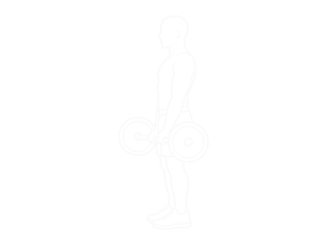 Barbell Cheat Curl — Start