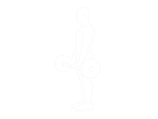 Barbell Drag Curl — Start