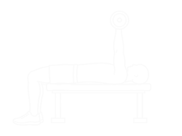 Lying Barbell Back of the Head Triceps Extension — 끝