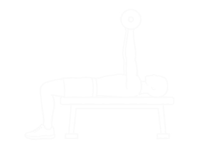 Lying Barbell Triceps Extension Skull Crusher — 시작