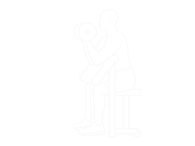 Barbell Preacher Curl — 끝