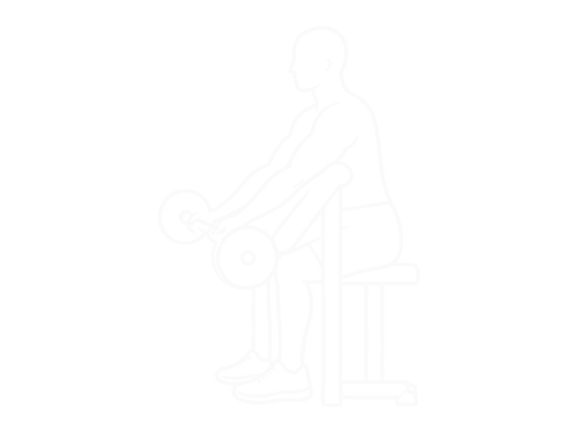 Barbell Preacher Curl — 시작