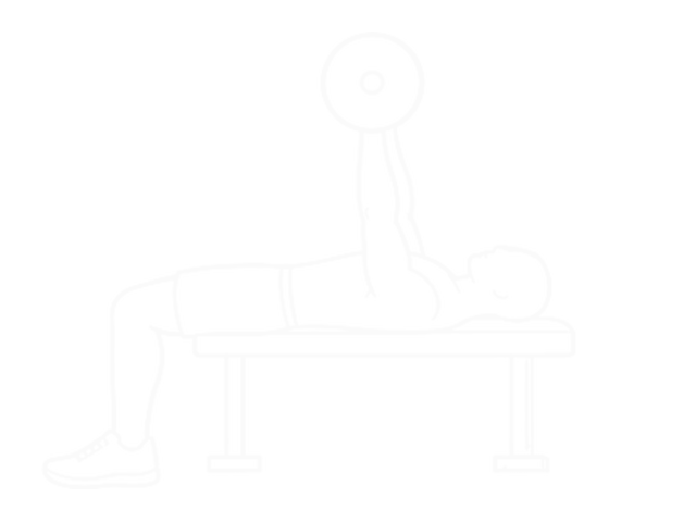바벨 풀오버 — 시작